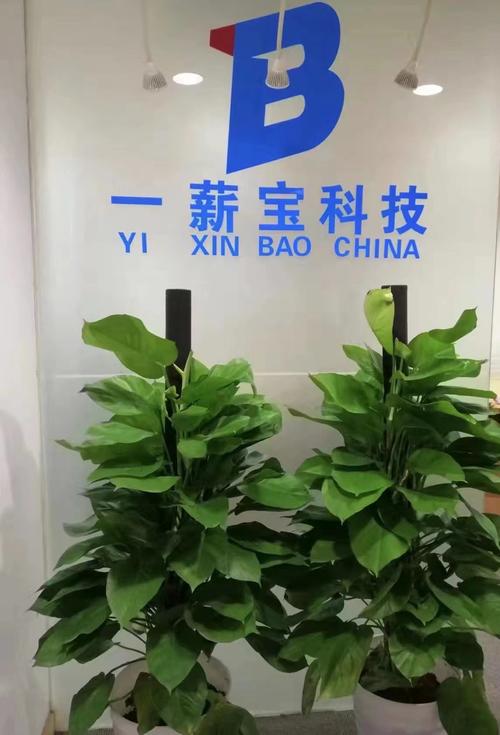 教育科技 从大数据到智能化，构建未来学习新生态